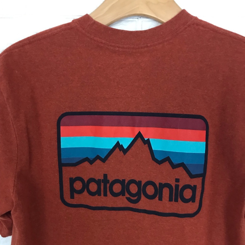 patagonia t shirt